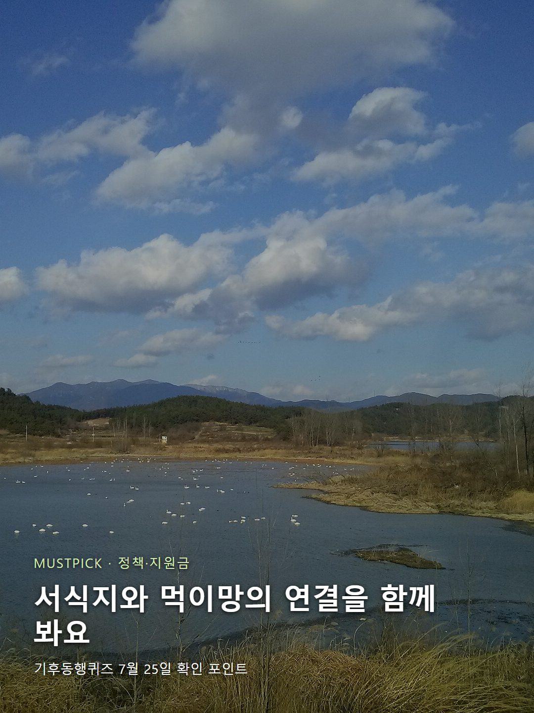 기후변화와 생물다양성 감소를 보여주는 우포늪 습지 생태계