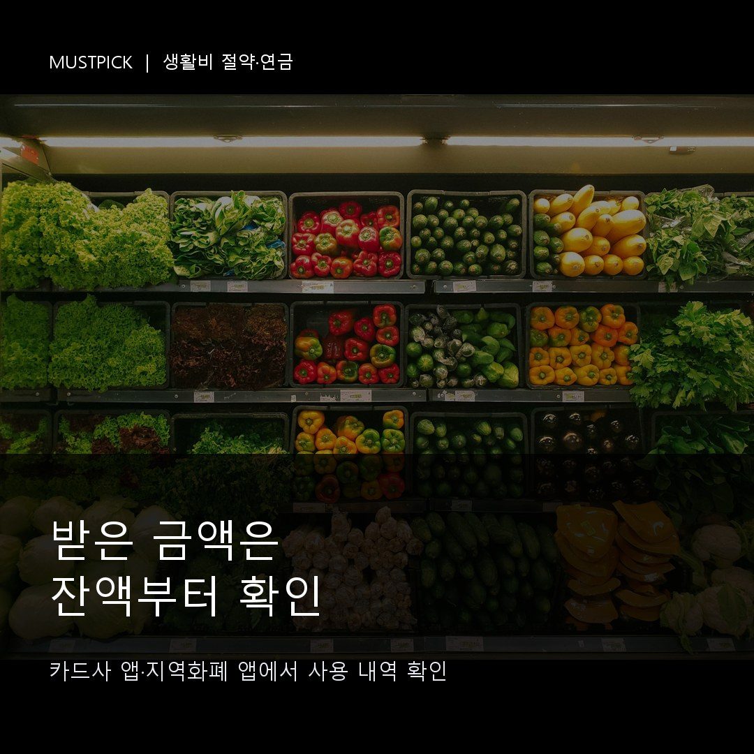 카드사 앱에서 지원금 잔액과 사용처를 확인하는 장면